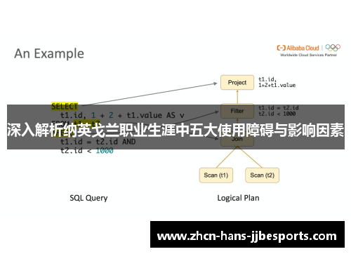 深入解析纳英戈兰职业生涯中五大使用障碍与影响因素