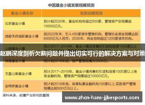 赵鹏深度剖析欠薪问题并提出切实可行的解决方案与对策